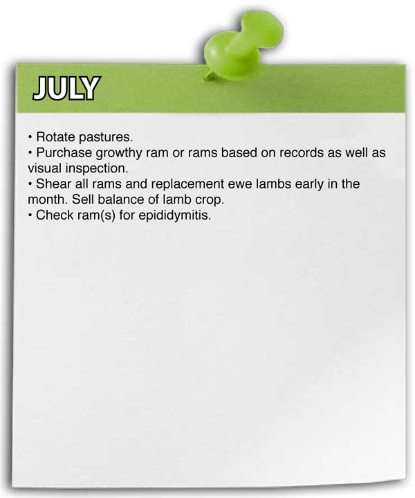 July Shepherd Schedule